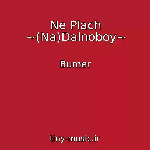 کاور آهنگ Ne Plach ~(Na)Dalnoboy~ از Bumer