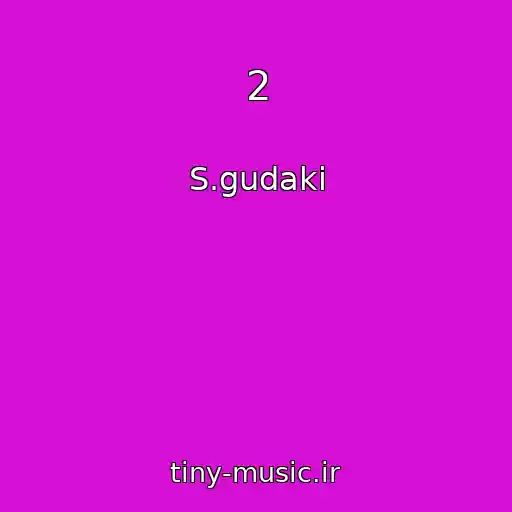 کاور آهنگ 2 از S.gudaki