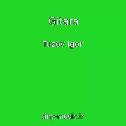 کاور آهنگ Gitara از Tuzov Igor