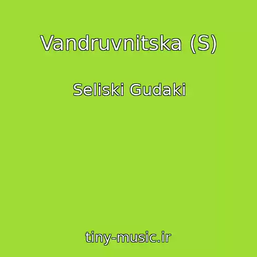 کاور آهنگ Vandruvnitska (S) از Seliskі Gudaki