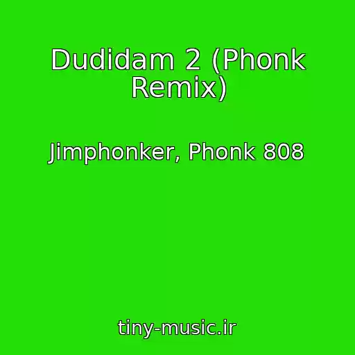 کاور آهنگ Dudidam 2 (Phonk Remix) از Jimphonker, Phonk 808
