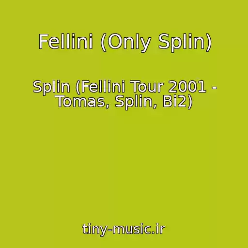 کاور آهنگ Fellini (Only Splin) از Splin (Fellini Tour 2001 - Tomas, Splin, Bi2)