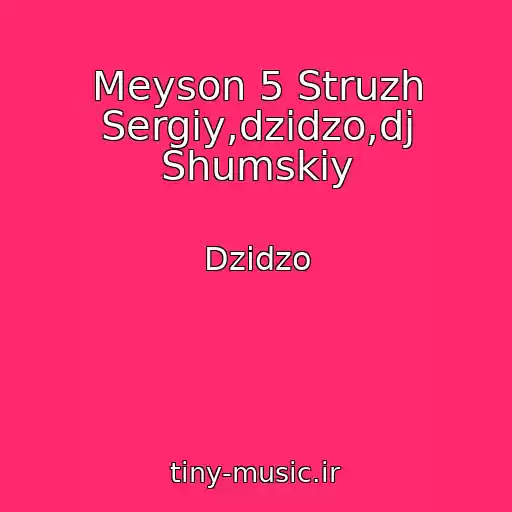 کاور آهنگ Meyson 5 Struzh Sergіy,dzіdzo,dj Shumskiy از Dzіdzo