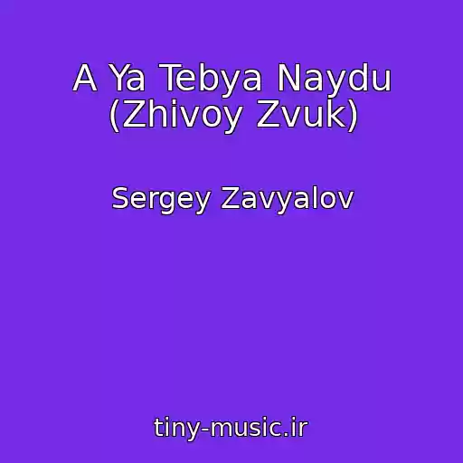 کاور آهنگ A Ya Tebya Naydu (Zhivoy Zvuk) از Sergey Zavyalov
