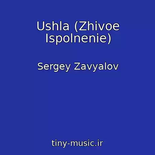 کاور آهنگ Ushla (Zhivoe Ispolnenie) از Sergey Zavyalov