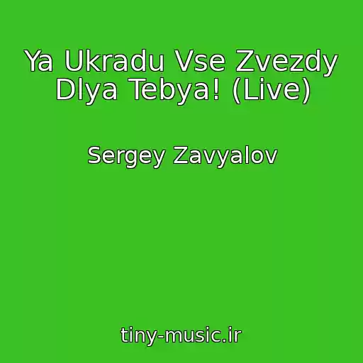کاور آهنگ Ya Ukradu Vse Zvezdy Dlya Tebya! (Live) از Sergey Zavyalov