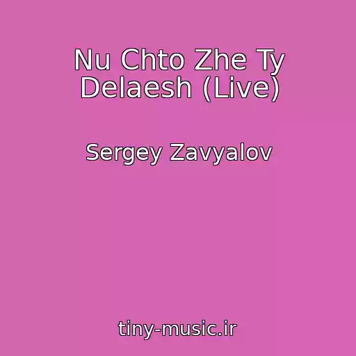 کاور آهنگ Nu Chto Zhe Ty Delaesh (Live) از Sergey Zavyalov