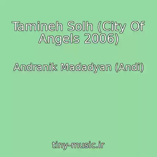کاور آهنگ Tamineh Solh (City Of Angels 2006) از Andranik Madadyan (Andi)
