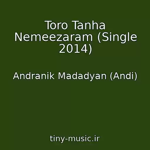 کاور آهنگ Toro Tanha Nemeezaram (Single 2014) از Andranik Madadyan (Andi)