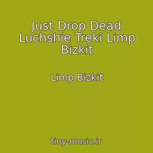 کاور آهنگ Just Drop Dead Luchshie Treki Limp Bizkit از Limp Bizkit