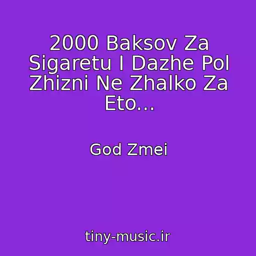 کاور آهنگ 2000 Baksov Za Sigaretu I Dazhe Pol Zhizni Ne Zhalko Za Eto... از God Zmei