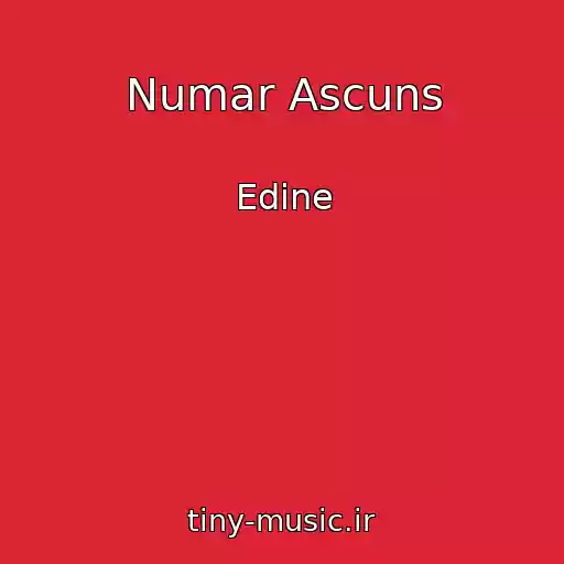 کاور آهنگ Numar Ascuns از Edine