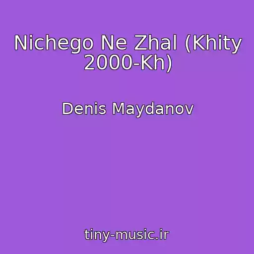 کاور آهنگ Nichego Ne Zhal (Khity 2000-Kh) از Denis Maydanov