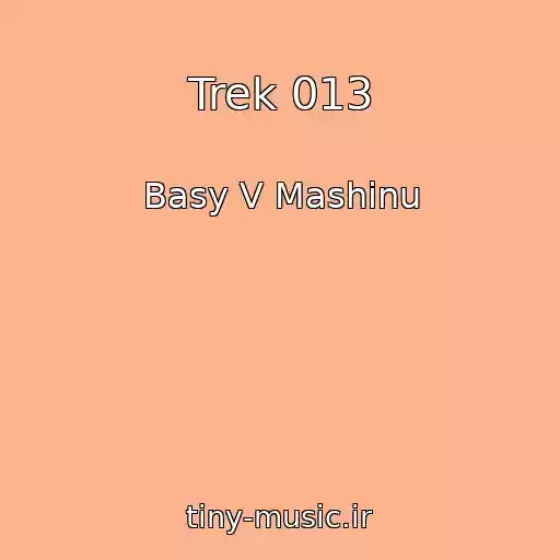 کاور آهنگ Trek 013 از Basy V Mashinu