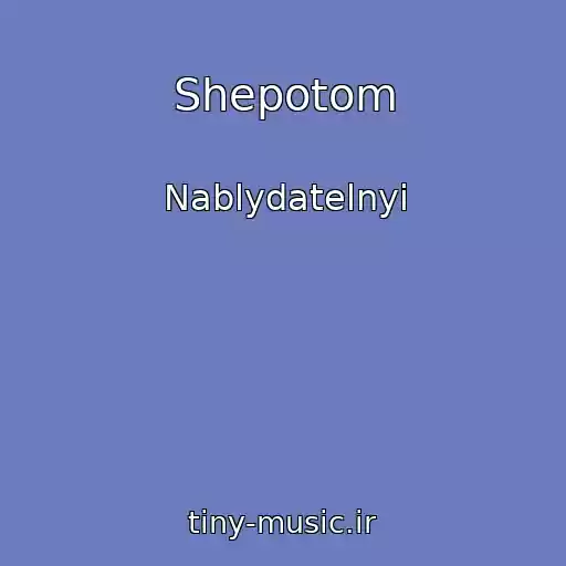 کاور آهنگ Shepotom از Nablydatelnyi