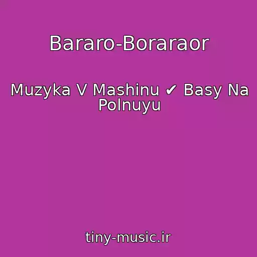 کاور آهنگ Bararo-Boraraor از Muzyka V Mashinu ✔ Basy Na Polnuyu