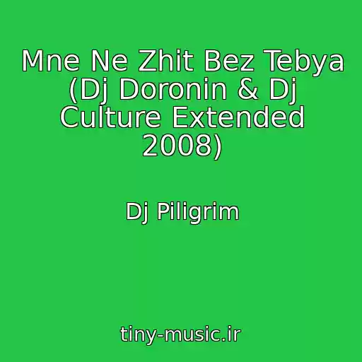 کاور آهنگ Mne Ne Zhit Bez Tebya (Dj Doronin & Dj Culture Extended 2008) از Dj Piligrim