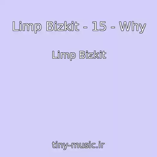 کاور آهنگ Limp Bizkit - 15 - Why از Limp Bizkit