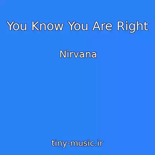 کاور آهنگ You Know You Are Right از Nirvana