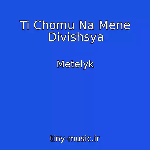 کاور آهنگ Ti Chomu Na Mene Divishsya از Metelyk