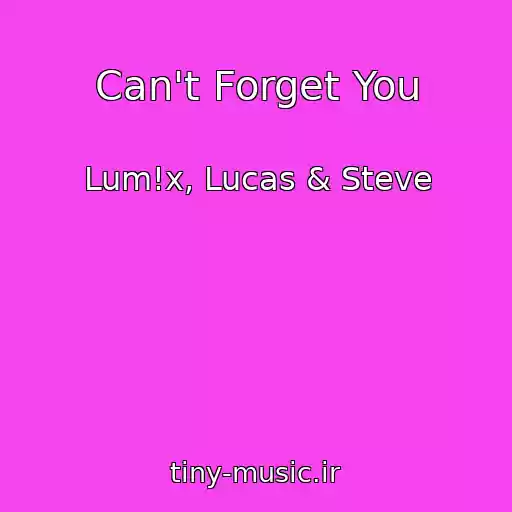 کاور آهنگ Can't Forget You از Lum!x, Lucas & Steve