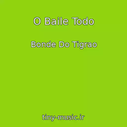 کاور آهنگ O Baile Todo از Bonde Do Tigrao