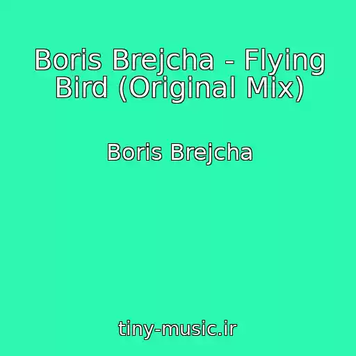 کاور آهنگ Boris Brejcha - Flying Bird (Original Mix) از Boris Brejcha