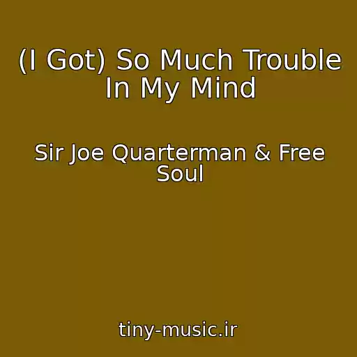 کاور آهنگ (I Got) So Much Trouble In My Mind از Sir Joe Quarterman & Free Soul