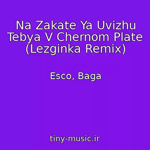کاور آهنگ Na Zakate Ya Uvizhu Tebya V Chernom Plate (Lezginka Remix) از Esco, Baga