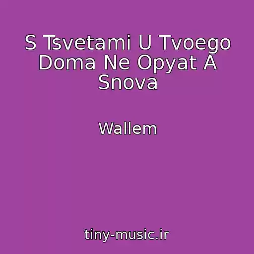 کاور آهنگ S Tsvetami U Tvoego Doma Ne Opyat A Snova از Wallem