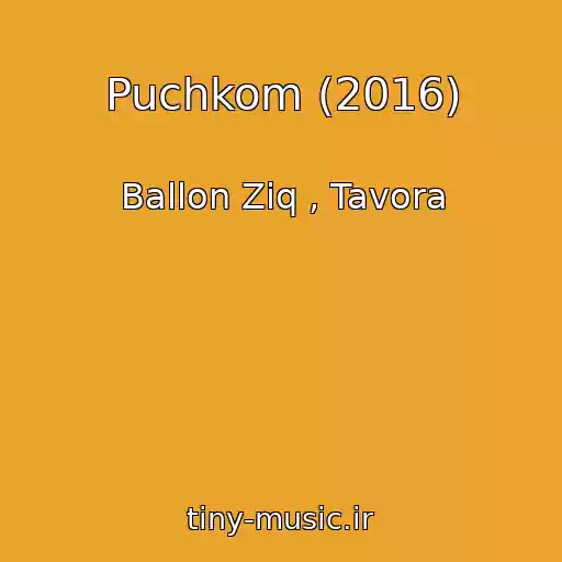 کاور آهنگ Puchkom (2016) از Ballon Ziq , Tavora