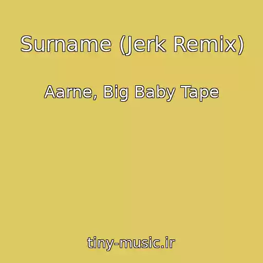کاور آهنگ Surname (Jerk Remix) از Aarne, Big Baby Tape