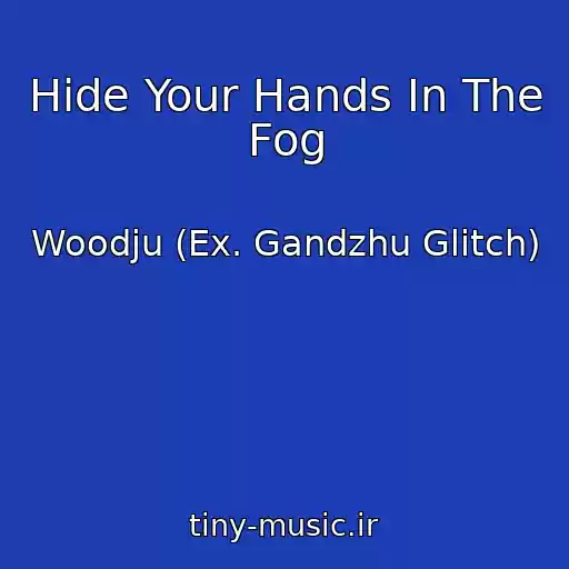 کاور آهنگ Hide Your Hands In The Fog از Woodju (Ex. Gandzhu Glitch)