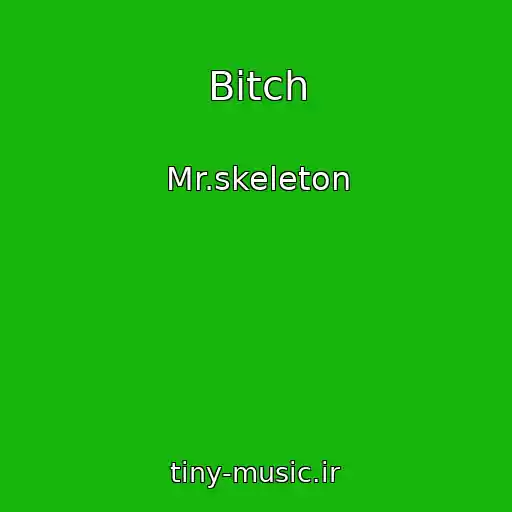 کاور آهنگ Bitch از Mr.skeleton