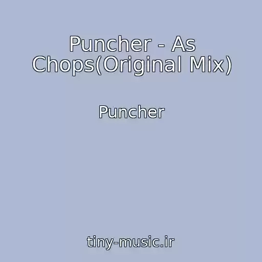 کاور آهنگ Puncher - As Chops(Original Mix) از Puncher