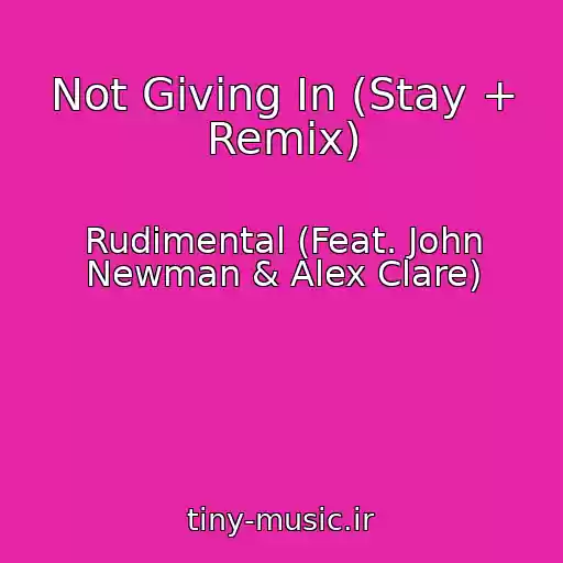 کاور آهنگ Not Giving In (Stay + Remix) از Rudimental (Feat. John Newman & Alex Clare)