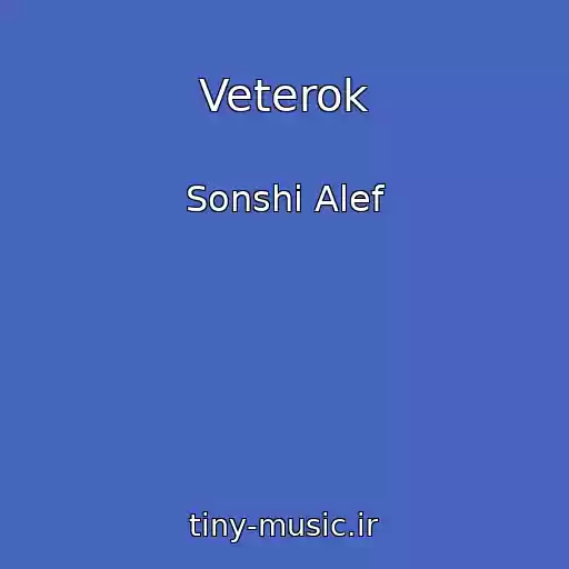 کاور آهنگ Veterok از Sonshi Alef