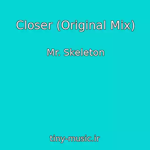 کاور آهنگ Closer (Original Mix) از Mr. Skeleton