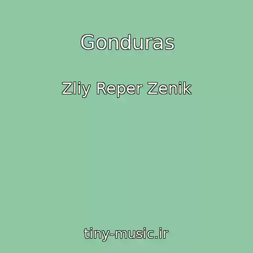 کاور آهنگ Gonduras از Zliy Reper Zenik