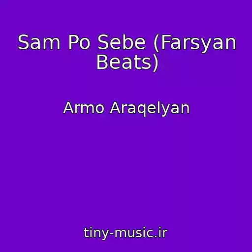 کاور آهنگ Sam Po Sebe (Farsyan Beats) از Armo Araqelyan