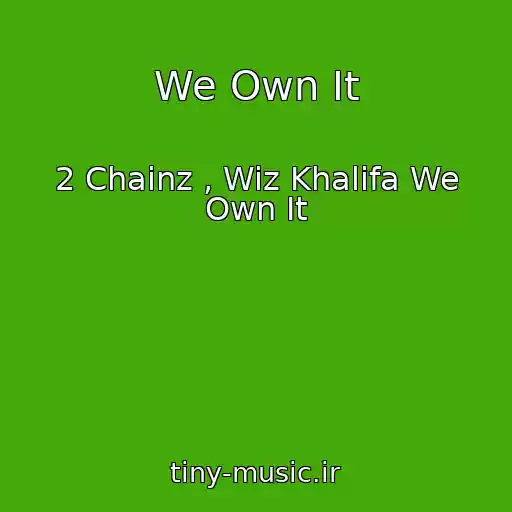 کاور آهنگ We Own It از 2 Chainz , Wiz Khalifa We Own It