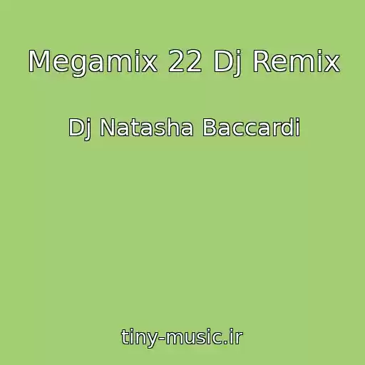 کاور آهنگ Megamix 22 Dj Remix از Dj Natasha Baccardi