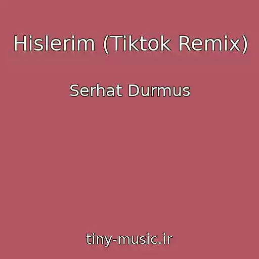 کاور آهنگ Hislerim (Tiktok Remix) از Serhat Durmus