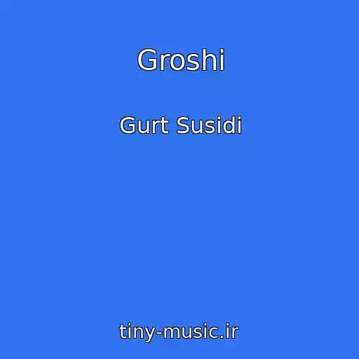 کاور آهنگ Groshі از Gurt Susіdi