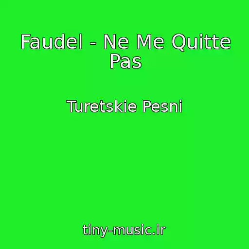 کاور آهنگ Faudel - Ne Me Quitte Pas از Turetskie Pesni
