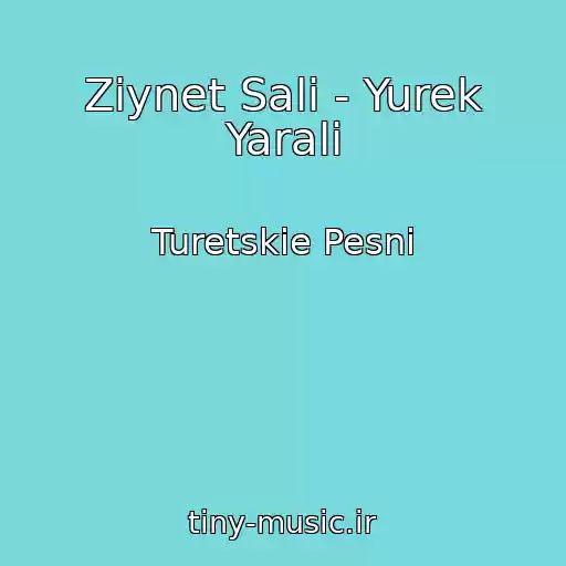 کاور آهنگ Ziynet Sali - Yurek Yarali از Turetskie Pesni