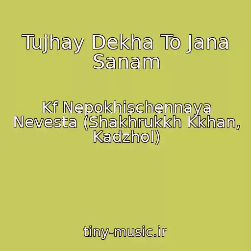 کاور آهنگ Tujhay Dekha To Jana Sanam از Kf Nepokhischennaya Nevesta (Shakhrukkh Kkhan, Kadzhol)
