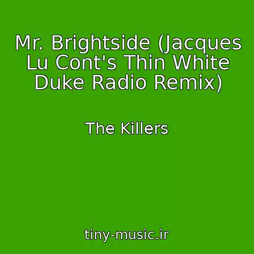 کاور آهنگ Mr. Brightside (Jacques Lu Cont's Thin White Duke Radio Remix) از The Killers