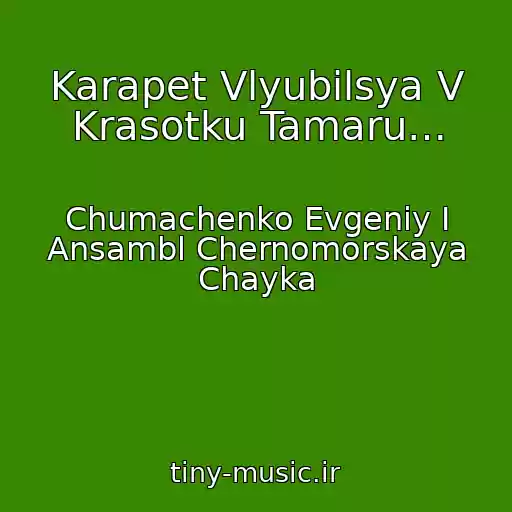 کاور آهنگ Karapet Vlyubilsya V Krasotku Tamaru… از Chumachenko Evgeniy I Ansambl Chernomorskaya Chayka