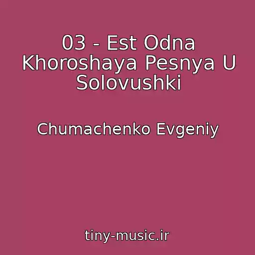 کاور آهنگ 03 - Est Odna Khoroshaya Pesnya U Solovushki از Chumachenko Evgeniy